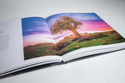 Land of Life Book