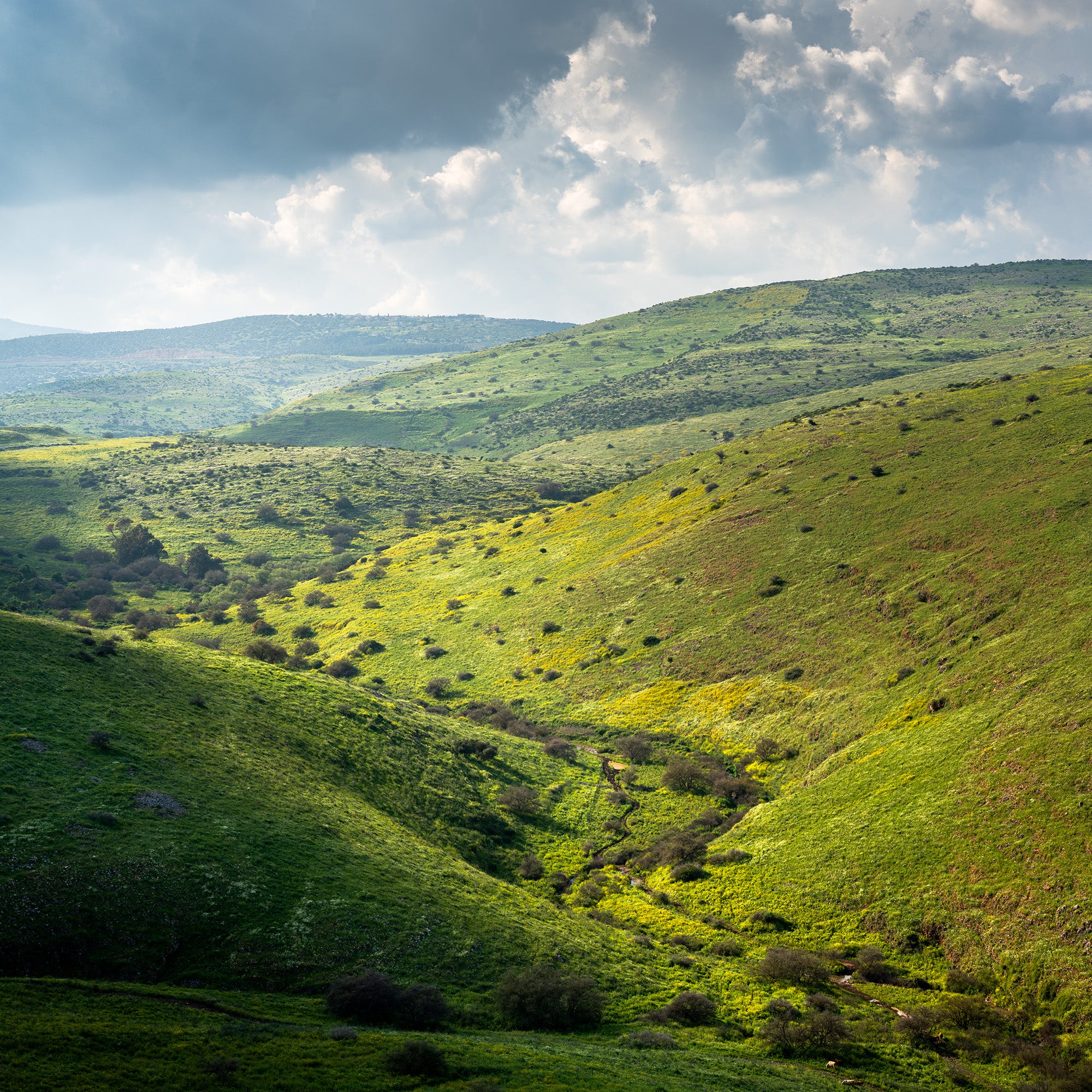 Galilee and Golan – Y.A. Fine Art