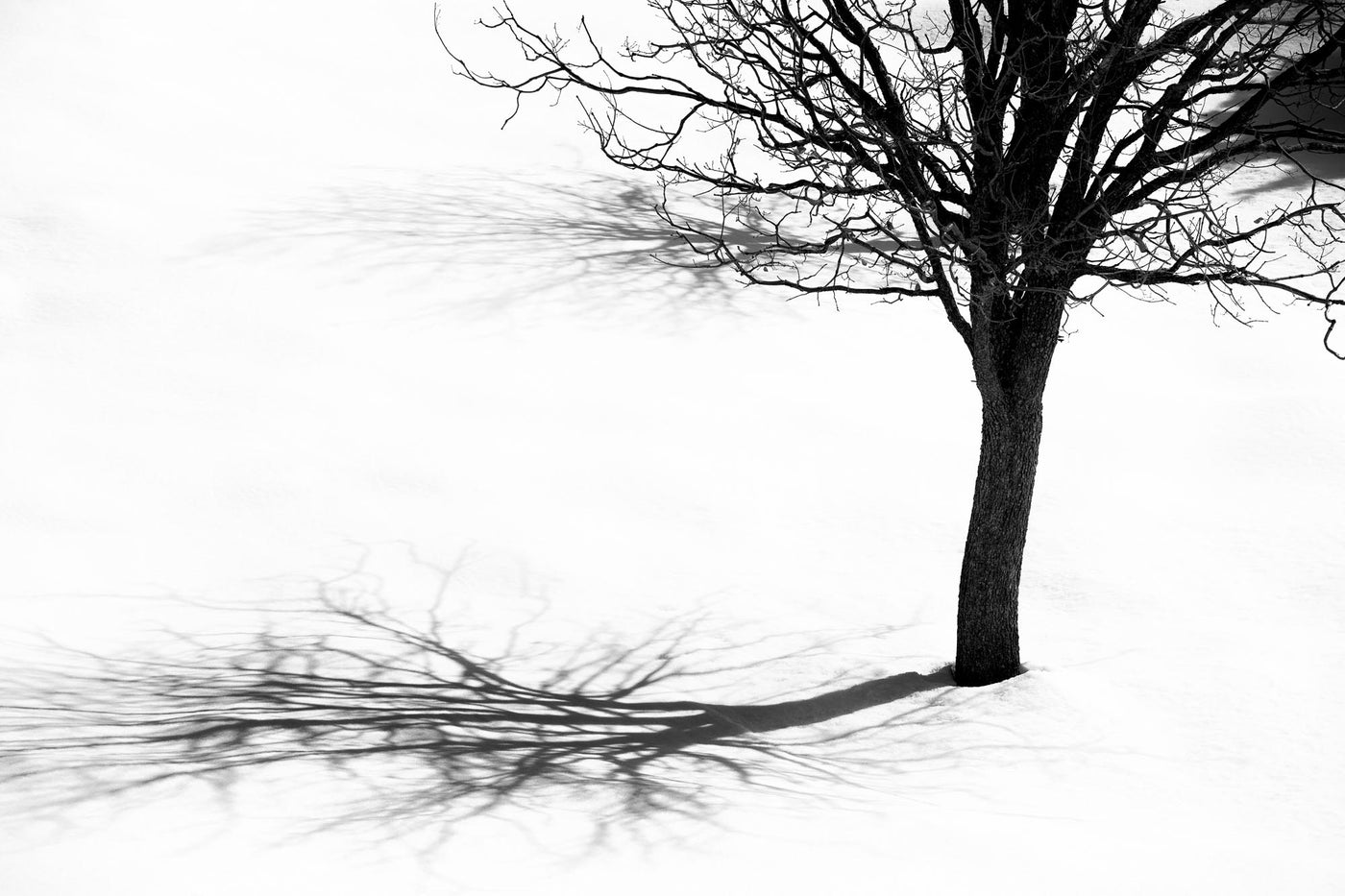 Unveiled - By Yehoshua Aryeh - Photograph of Israel - Mount Hermon Snow