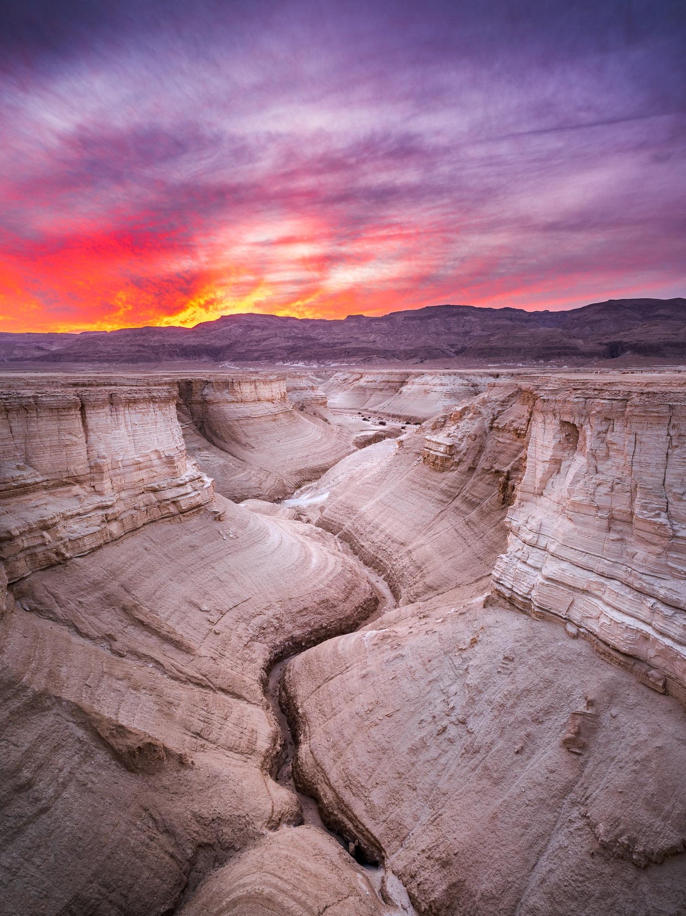 Ablaze - By Yehoshua Aryeh - Photograph of Israel - Judean Desert