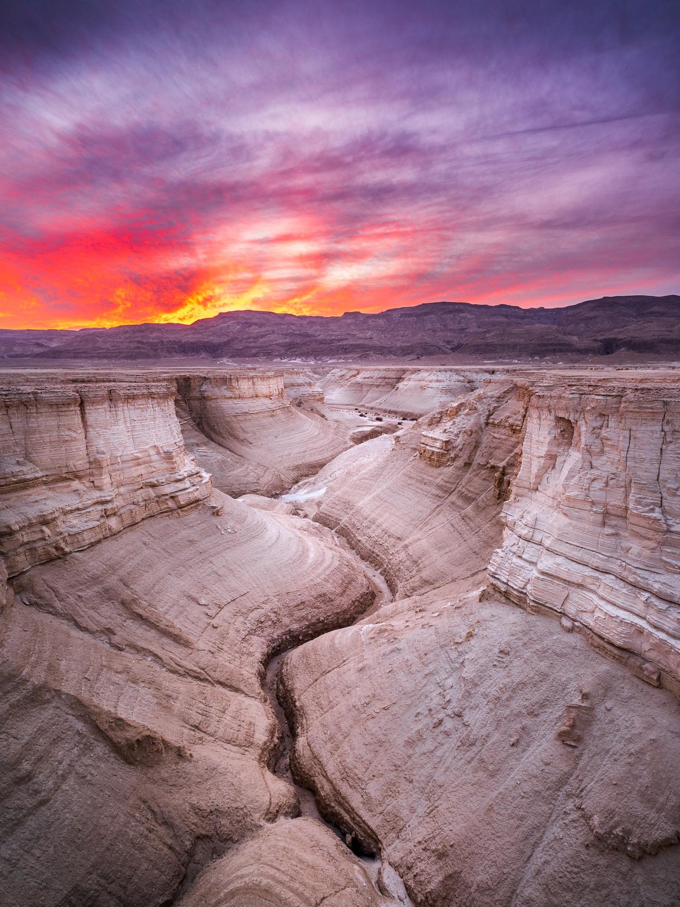 Ablaze — Judean Desert