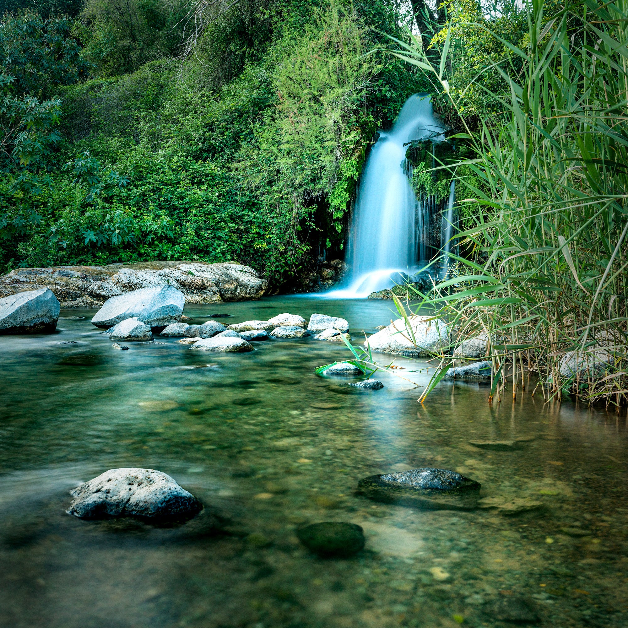 Hidden Spring – Y.A. Fine Art