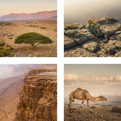 Mitzbe Ramon Mitzpe Ramon – Y.A. Fine Art