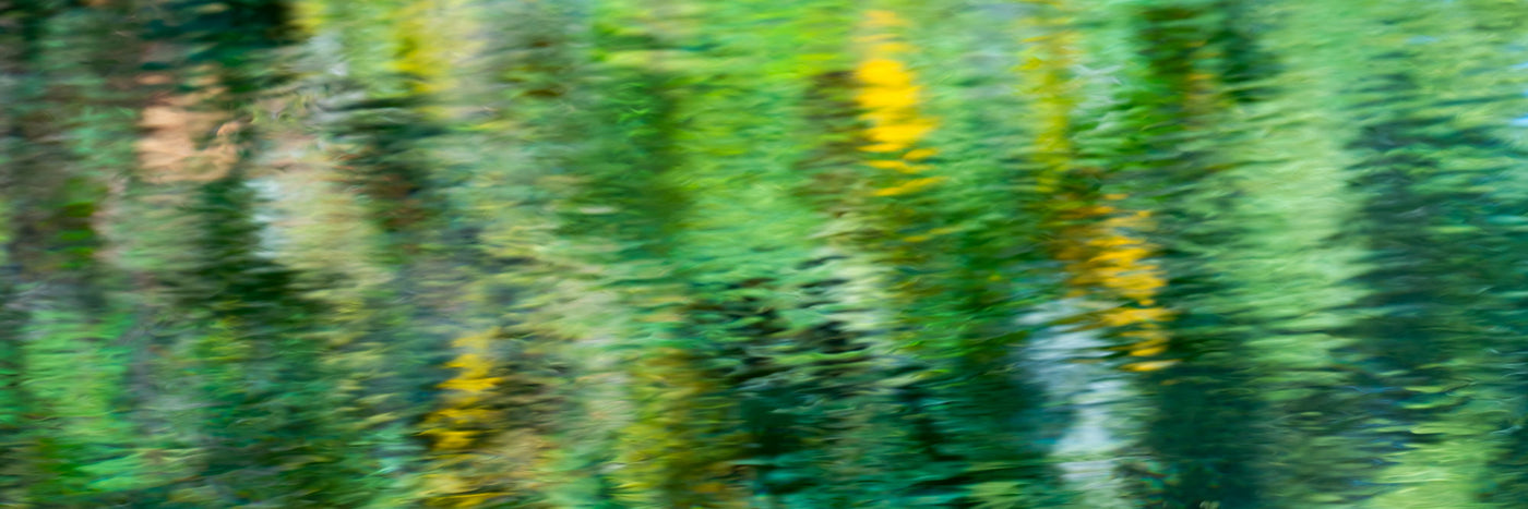 Reflections_2_3x1-preview