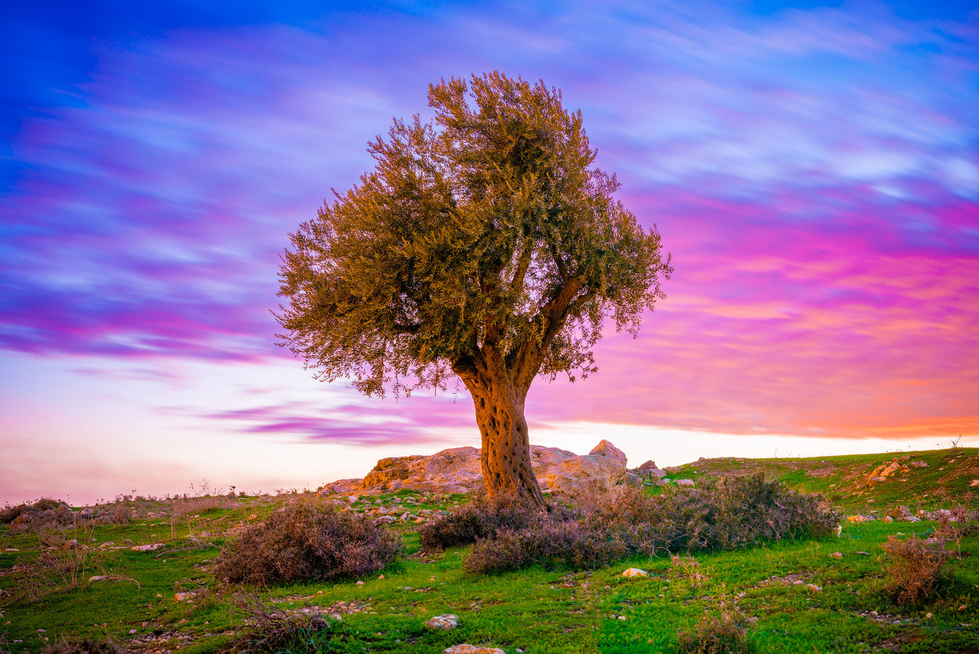 Hidden Light — Jerusalem