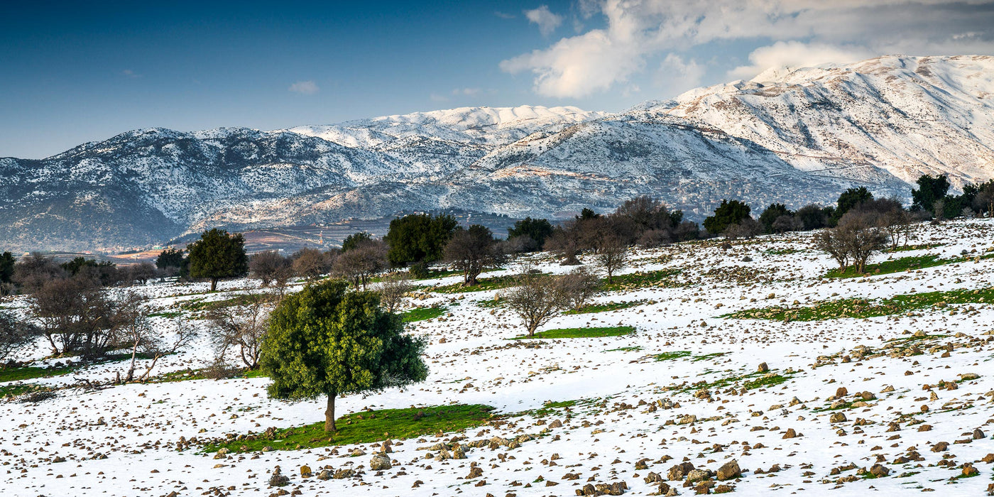 Radiance-Israel-Snow-Hermon-Yehoshua-Aryeh